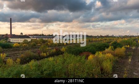 Duisburg, Nordrhein-Westfalen, Deutschland - 09. November 2019: Blick über das ehemalige Güterdepot in Duisburg-Wegenau in der Nähe der Sechs-Seen-Platte (Six Lak Stockfoto