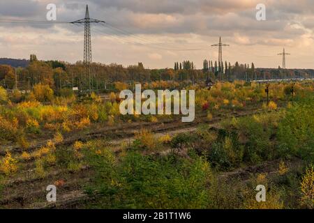 Duisburg, Nordrhein-Westfalen, Deutschland - 09. November 2019: Blick über das ehemalige Güterdepot in Duisburg-Wegenau in der Nähe der Sechs-Seen-Platte (Six Lak Stockfoto