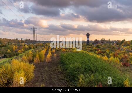 Duisburg, Nordrhein-Westfalen, Deutschland - 09. November 2019: Blick über das ehemalige Güterdepot in Duisburg-Wegenau in der Nähe der Sechs-Seen-Platte (Six Lak Stockfoto