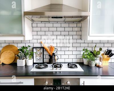 Schwarz-weiße, mit U-Bahn geflieste Küche mit zahlreichen Pflanzen und gerahmten taxidermen Insektenarten Stockfoto