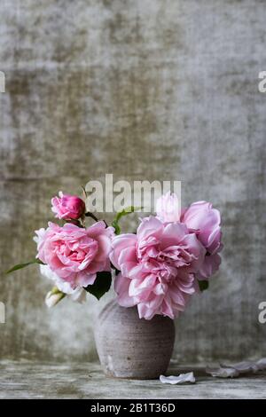 Rosa Rosen Stockfoto