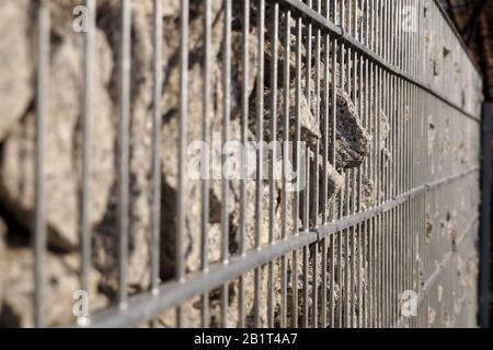 Nahaufnahme einer Wanddetails aus einem Gabion. Mit Granit gefülltes Gabion. Stockfoto