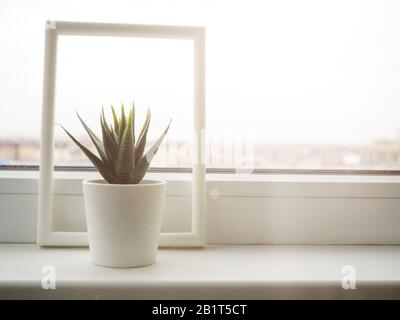 Grüne Pflanze auf der Fensterbank. Künstliche Blume in einem weißen Topf auf der Fensterbank. Stockfoto