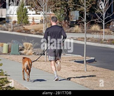 Ein Mann, der mit seinem Hund an der Leine auf einer Wohnstraße in Bend, Oregon, läuft. Stockfoto