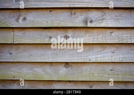 Featheredge Bretter an der Seite der Scheune. Oxfordshire England Stockfoto