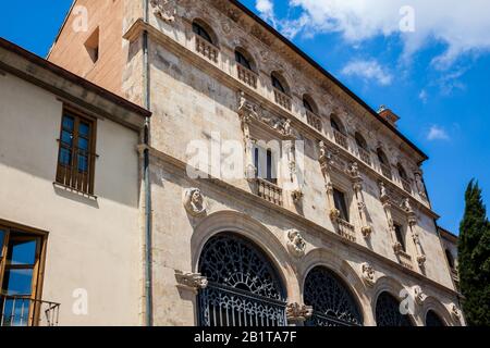 Fassade des historischen Palacio de la Salina ein platereske Stil mit italienischen Elementen, das 1538 im Stadtzentrum von Salamanca erbaut wurde Stockfoto