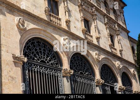 Fassade des historischen Palacio de la Salina ein platereske Stil mit italienischen Elementen, das 1538 im Stadtzentrum von Salamanca erbaut wurde Stockfoto