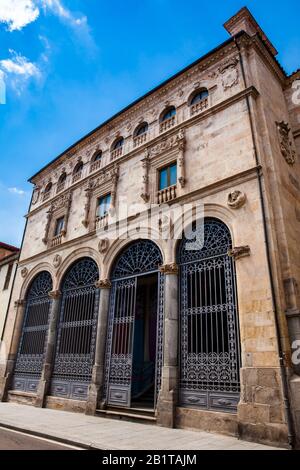 Fassade des historischen Palacio de la Salina ein platereske Stil mit italienischen Elementen, das 1538 im Stadtzentrum von Salamanca erbaut wurde Stockfoto