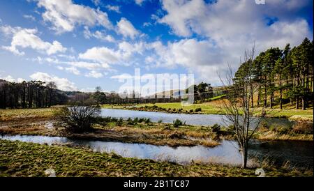 Der Fluss Tweed in Überflutung in den schottischen Grenzen bei Peebles, Schottland Stockfoto