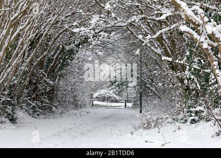 Der Fußgängerweg zwischen Holway Green und Chestnut Drive in Taunton, Somerset, nach einem Schneefall im Februar 2019. Stockfoto