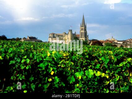 Das Dorf Saint-Emilion mit der Aufschrift Les Plus Beaux Villages de France, UNESCO-Weltkulturerbe, Gironde, Nouvelle Aquitaine, Frankreich, Europa Stockfoto