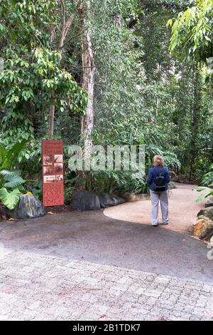 dh Botanische Gärten CAIRNS AUSTRALIEN Frau Tourist tropische Pflanzen Garten Zeichen Menschen Stockfoto