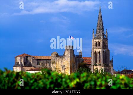 Dorf und Weinberg von Saint-Emilion, Gironde, Nouvelle Aquitaine, Frankreich, Europa Stockfoto