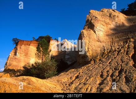 Ockerfarbene Klippen in Colorado Provencal, Rustrel, Vaucluse, Povence Alpes Cote d'Azur, Frankreich Stockfoto