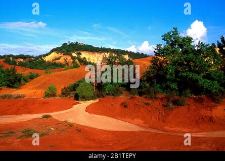 Ockerfarbene Klippen in Colorado Provencal, Rustrel, Vaucluse, Povence Alpes Cote d'Azur, Frankreich Stockfoto