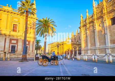 Der Tourist Pferdekutschen fährt in der Altstadt von Sevilla, der Cabman bei der Suche nach den Kunden am frühen Morgen, Spanien Stockfoto