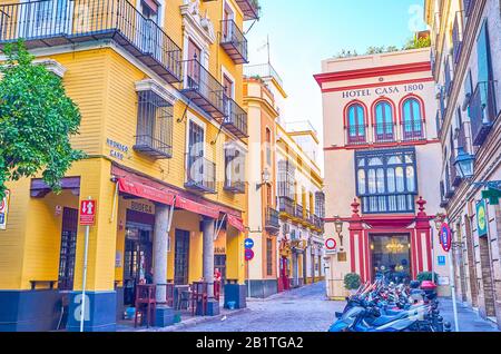 Sevilla, SPANIEN - 1. OKTOBER 2019: Die gemütlichen Straßen im alten Viertel Santa Cruz in Sevilla mit zahlreichen Restaurants, Bars und dem traditionellen Andalusien Stockfoto
