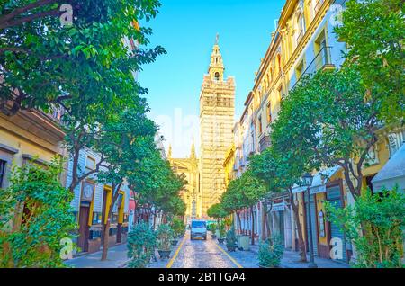 Sevilla, SPANIEN - 1. OKTOBER 2019: Der angenehme Spaziergang entlang der historischen Straße Mateos Gago unter dem Schatten der Bäume in Richtung Giralda der Kathedrale, auf Stockfoto
