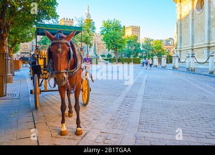 Sevilla, SPANIEN - 1. OKTOBER 2019: Die Linie der Touristenpferdewagen für Reisen durch die Altstadt steht auf der Plaza del Triunfo unter dem Schatten von TR Stockfoto