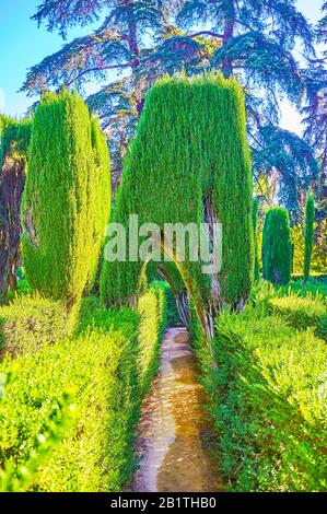 Sevilla, SPANIEN - 1. OKTOBER 2019: Der angenehme Spaziergang auf dem Weg des Labyrinths, der bepflanzte Garten mit einem Labyrinth von wegen, der für einen Spaß in Alcazar Gard gemacht wurde Stockfoto