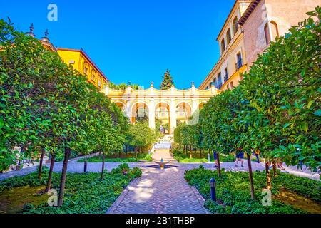 Sevilla, SPANIEN - 1. OKTOBER 2019: Der kleine Innenhof mit geometrisch bepflanzten Bäumen und kleinem Springbrunnen in der Mitte, Alcazar-Palast-Komplex, am Oc Stockfoto