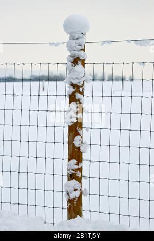 Holzzaunpfosten und Drahtzäune, die im Februar 2019 in einem Feld in der Nähe von Haydon bei Taunton, Somerset, England, Großbritannien, in Schnee bedeckt waren Stockfoto