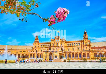 Der rosafarbene blühende Baum im Maria Luisa Park mit Blick auf die Galerie der Plaza de Espana in Sevilla Stockfoto