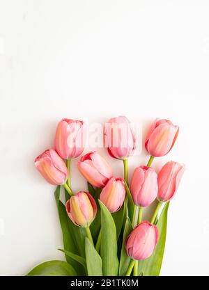 Frühling, ostern. Rosa Tulpenbraut auf weißem Hintergrund, vertikale Draufsicht. Vorlage für Grußkarten für Damen- oder Muttertag Stockfoto