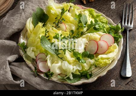 Frühlingssalat mit wildem Salat und essbaren Pflanzen - Kicherkraut, junges Betstroh und gewöhnlicher Brustwarze