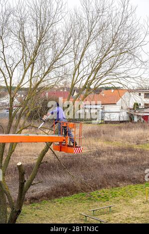 Mann auf Luftplattform beschneide Äste von Baum mit Kettensäge Stockfoto