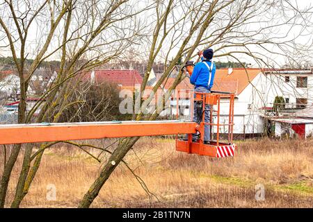 Mann auf Luftplattform beschneide Äste von Baum mit Kettensäge Stockfoto