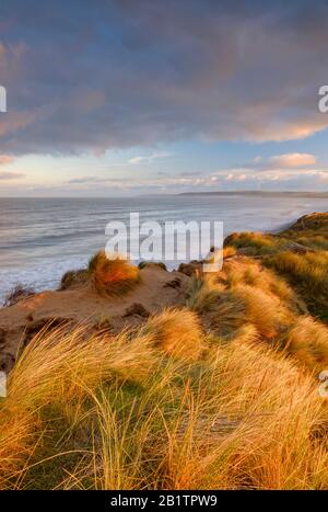 Sanddünen am Rande von Westward Ho! Strand, Teil der North Devon Coast Gebiet von außergewöhnlicher Schönheit und UNESCO Biosphärenreservat, Gräser, Sand, Großbritannien Stockfoto