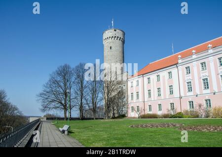 Schloss Toompea in Tallinn, Estland. Blick Auf den Eckturm der Oberstadt Burg Tall Hermann Oder Pikk Hermann Im sonnigen Sommertag. Stockfoto