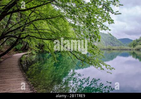 Blick auf den See, Nationalpark Plitvicer Seen, Plitvicer, Kroatien. Blick auf den See im Sommer mit Wolken, Nationalpark Plitvicer Seen, Kroatien Stockfoto