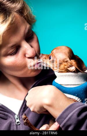 Frau mit kurzen blonden Haaren, die kleine Hundespielzeug-Terrier in den Händen hält und sich küsst. Menschen- und Tierkonzept