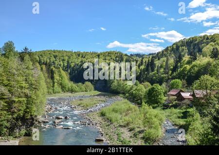 Blick auf den wilden Fluss in den Karpaten während des sonnigen Sommertags, Ukraine Stockfoto