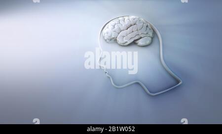 Human Brain - Intelligence-Konzept und Kreativitätskonzept 3D-Illustration Stockfoto
