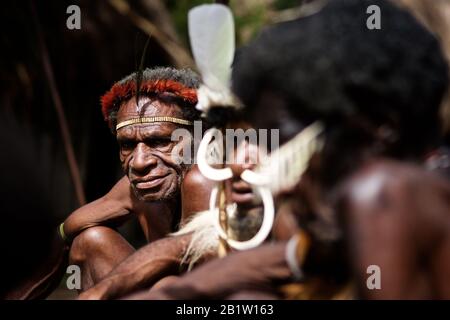 Papua-Männer aus dem Stamm der Dani, Jiwika Dorf, Baliem Tal - Occidental Papua, Indonesien. Das oberste Dorf trägt ein Nasenpiercing Stockfoto