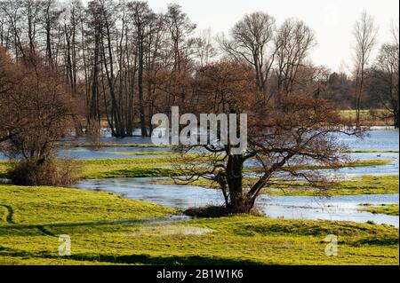 Überschwemmte Felder und Ackerland nach starken Regenfällen im Februar 2020 im River Avon Valley in Hampshire Stockfoto