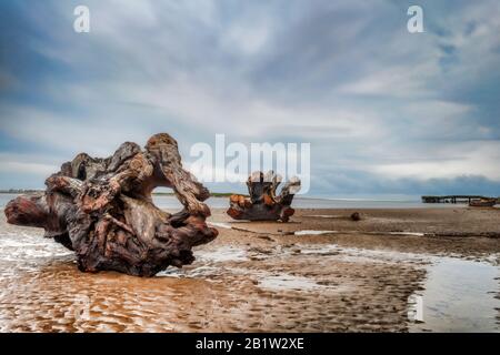 In den frühen Abendstunden in Silet hinterlässt ein sich zurückziehender Sturm ruhige Gewässer und einen menschenleeren Strand, der mit großen Treibholz- und Baumstücken übersät ist Stockfoto