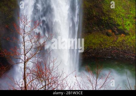 Basis von South Falls im Silver Falls State Park von Oregon. Stockfoto