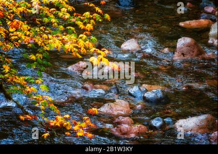 Farben, die Licht von leichtem Regen an den Gewässern des South Santiam River auf dem McKenzie Pass reflektieren - die malerische Umgebung von Santiam Pass in Oregon Stockfoto