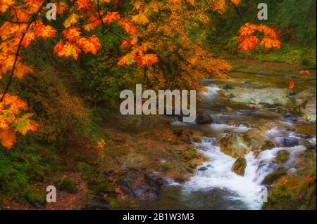 Farben, die Licht von leichtem Regen an den Gewässern des South Santiam River auf dem McKenzie Pass reflektieren - die malerische Umgebung von Santiam Pass in Oregon Stockfoto