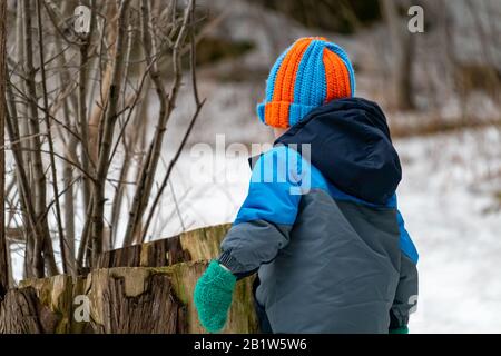 Ein Kleinkind auf einem Naturweg untersucht im Winter einen Baumstumpf. Er trägt einen warmen Mantel, Gehrungen und einen Strickmütze, während er den verschneiten Wald erkundet. Stockfoto