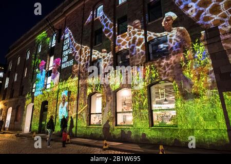 Bristol, Großbritannien. Februar 2020. Lokale Künstler beleuchten die Stadt Bristol mit interaktiven Lichtinstallationen. Abgebildet ist "Wildlife on the Waterfront" in der Arnolfini Gallery by the Charity Send a Cow and Limbic Cinema. Das erste Bristol Light Festival ist frei zu besuchen, offen für alle und wird von Bristol GEBOTEN in Partnerschaft mit dem Bristol City Council und der University of the West of England. Credit: Herr Standfast/Alamy Live News Stockfoto