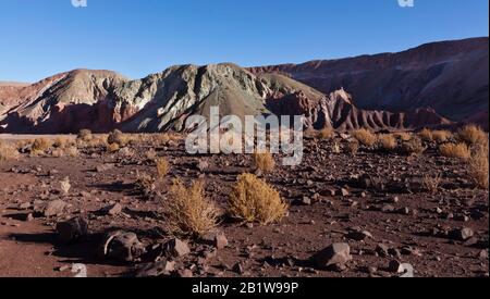 Am späten Nachmittag Sonne und Schatten auf dem farbenfrohen, gneisen Felsen von Valle del Arcoiris (Rainbow Valley), Altiplano, Atacama-Wüste, Antofagasta, Chile Stockfoto
