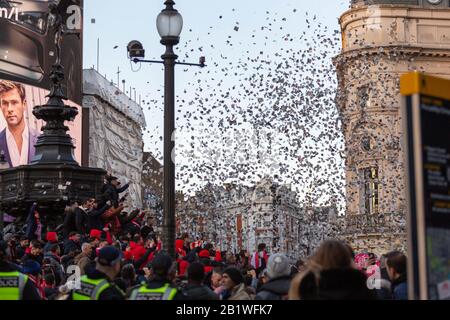 London, Großbritannien. Februar 2020. Olympiakos-Fans treffen sich vor dem UEFA-Cup-Spiel mit Arsenal in der Statue of Eros, Piccadilly Circus. Penelope Barritt/Alamy Live News Stockfoto
