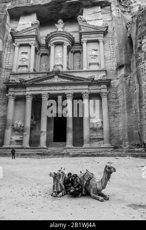 Petra, JORDANIEN - 30. JANUAR 2020: Zwei lokale Führer mit Kamelen genießen Medien auf dem Smartphone im Tempel El-Khazneh, in Klippen gehauen Petra Komplex und Touristenattraktion, Haschemite Königreich Jordanien Stockfoto