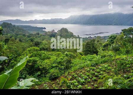 Blick auf den Batur-See vom fruchtbaren Vulkanhang der Batur-Caldera in Kintamani, Bali, Bangli-Regentschaft von Bali, Indonesien Stockfoto