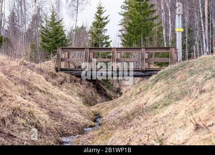 Kleine Schlucht mit altem braunen Gras nach dem Winter, frühem Frühling. Kleine Holzbrücke über den Bach, Mischwald im Hintergrund, Kiefern und Birken Stockfoto